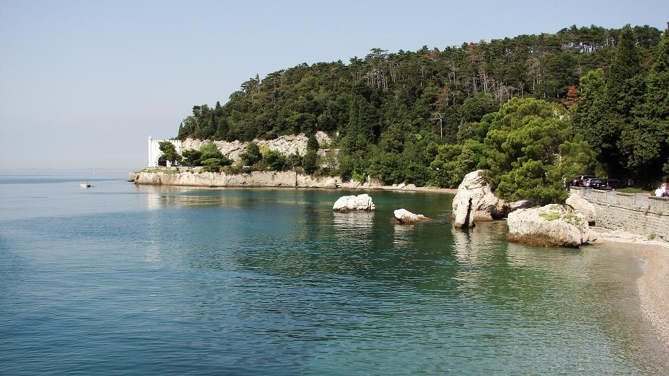 Dsc07973.jpg